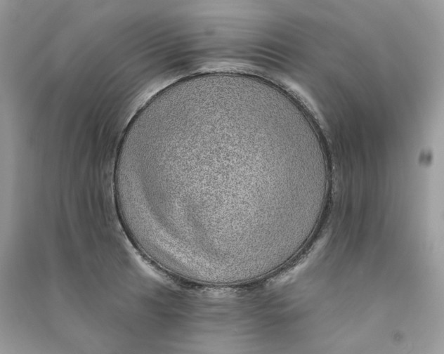 X0000090781041200708172124