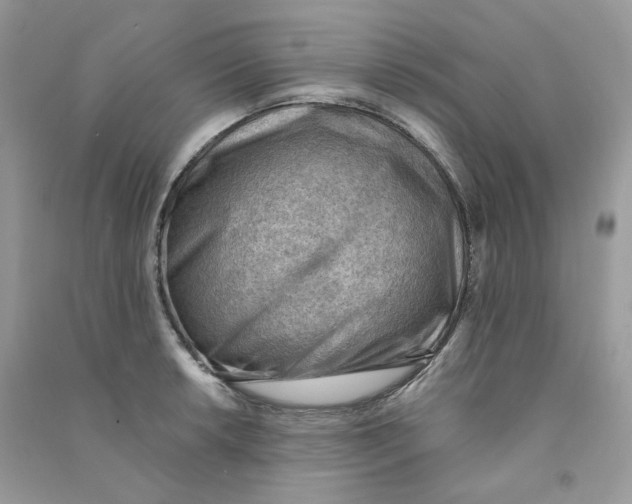 X0000090781042200708172124