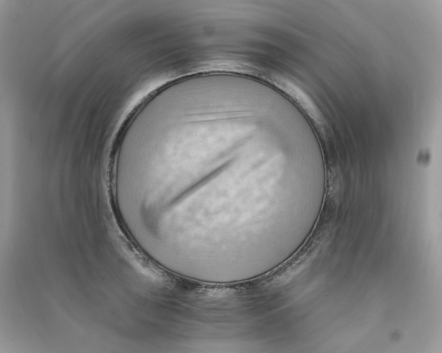 X0000090781043200708172124