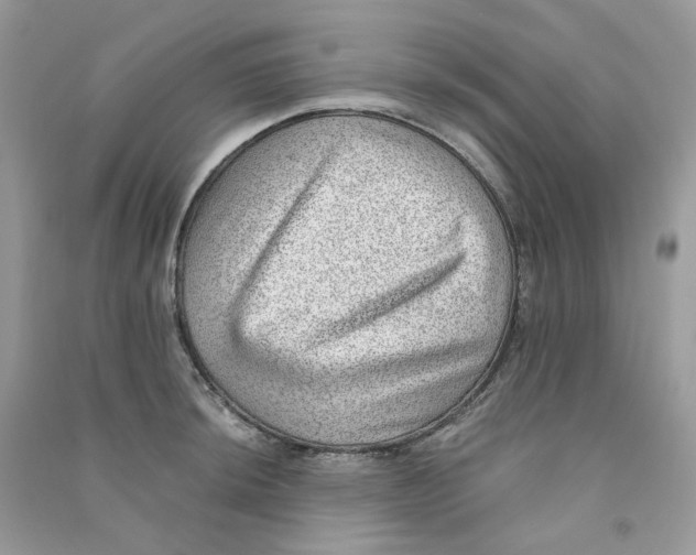 X0000090781044200708172124