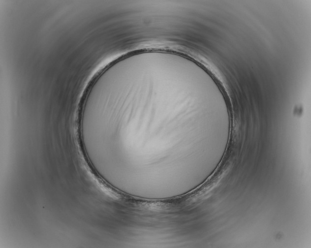 X0000090781045200708172124