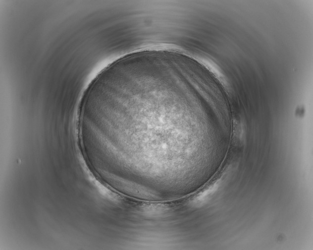 X0000090781046200708172124