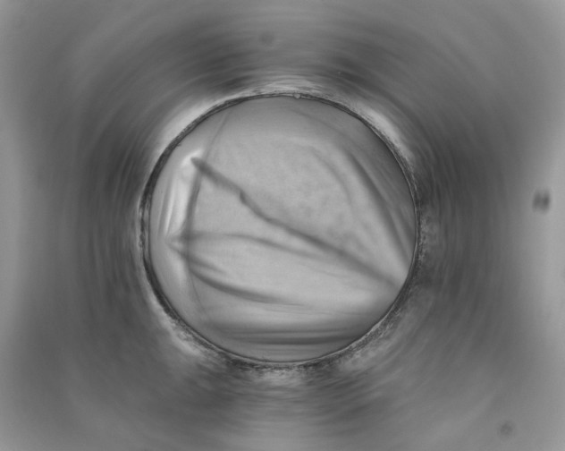X0000090781047200708172124