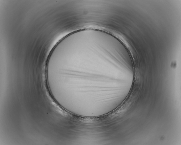 X0000090781048200708172124
