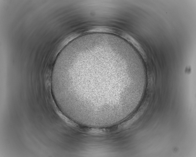 X0000090781049200708172124