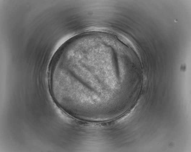 X0000090781050200708172124