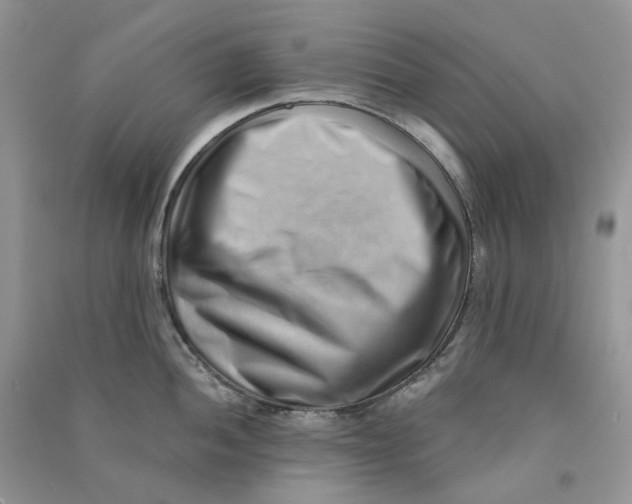 X0000090781052200708172124