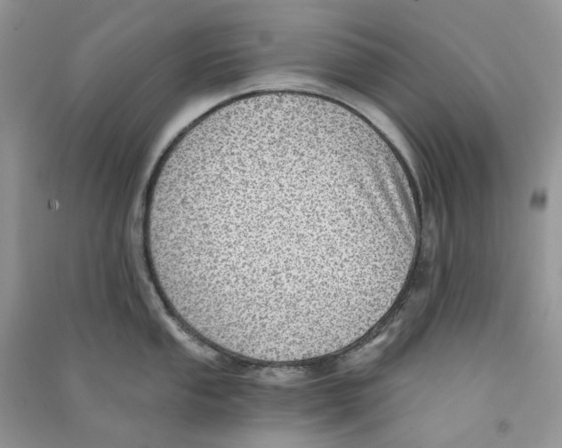 X0000090781053200708172124
