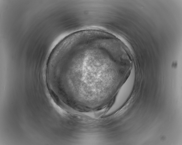X0000090781054200708172124