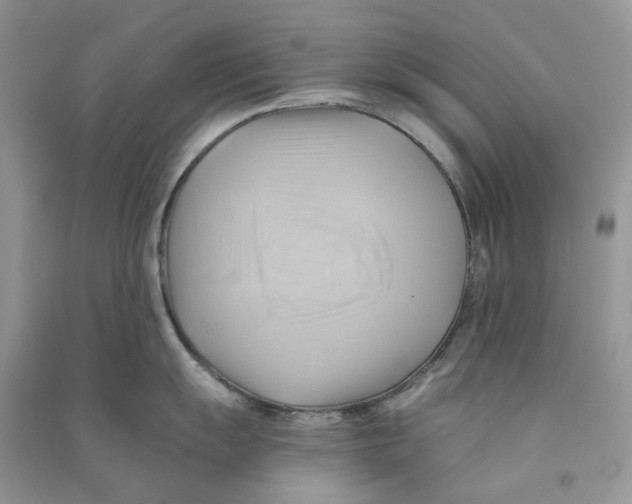 X0000090781055200708172124