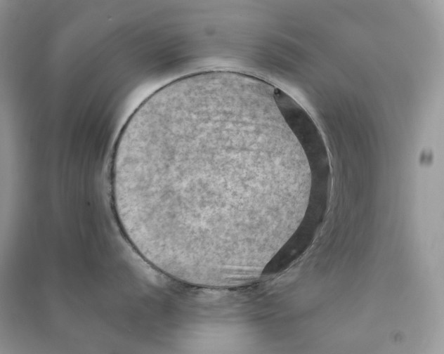 X0000090781056200708172124