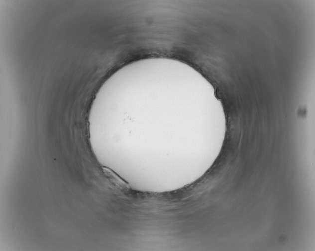 X0000090781057200708172123