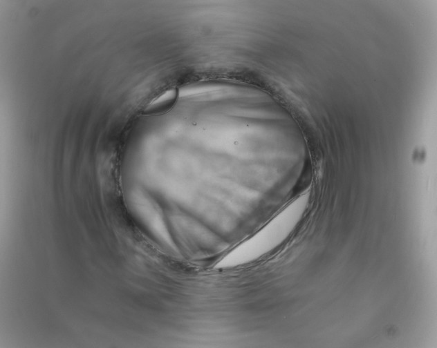 X0000090781059200708172123