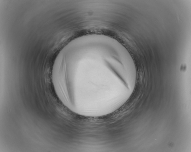 X0000090781060200708172123