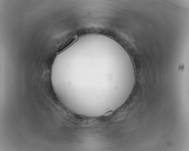 X0000090781061200708172123