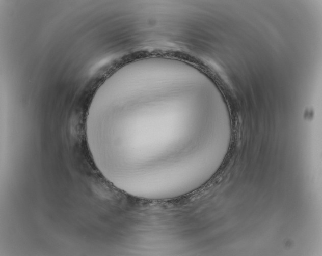 X0000090781063200708172123