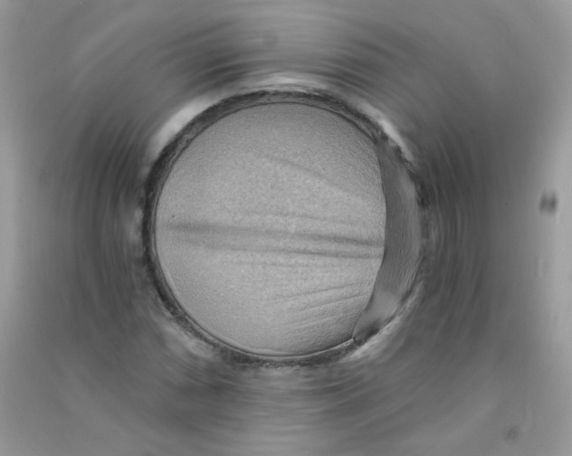 X0000090781066200708172123