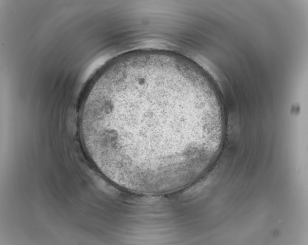 X0000090781067200708172123