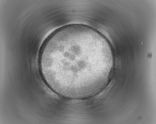 X0000090781068200708172123