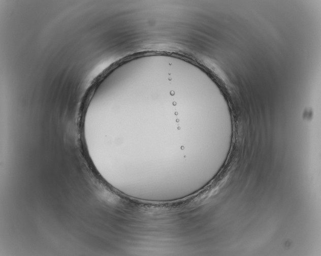 X0000090781071200708172123