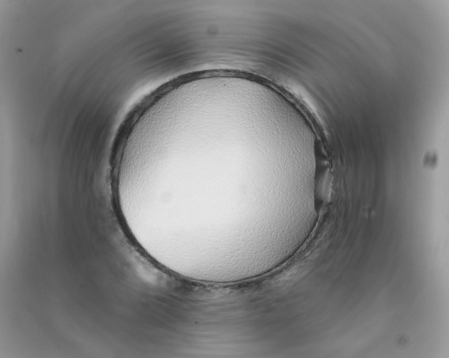 X0000090781072200708172123
