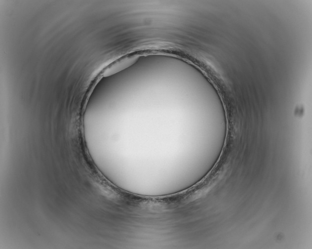 X0000090781073200708172123