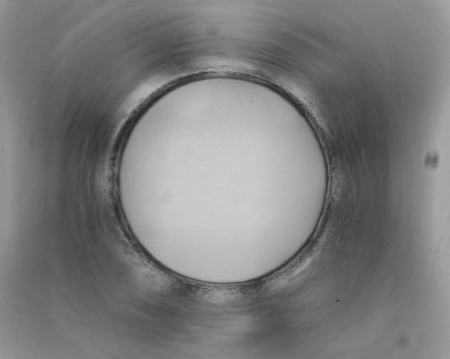 X0000090781074200708172123
