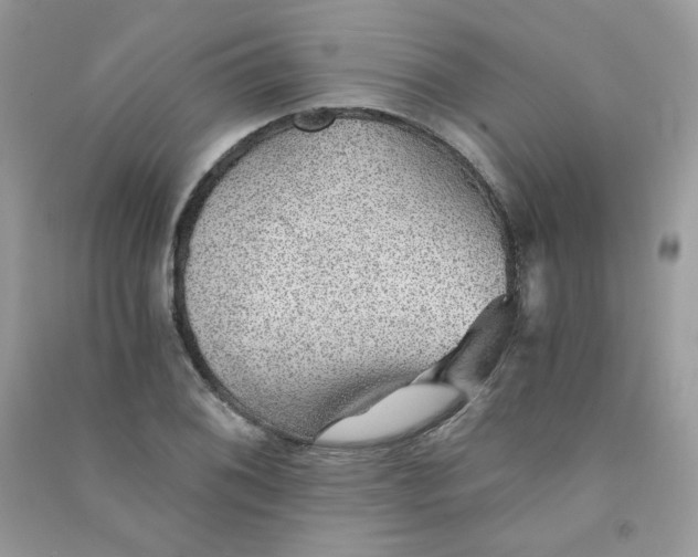 X0000090781076200708172123