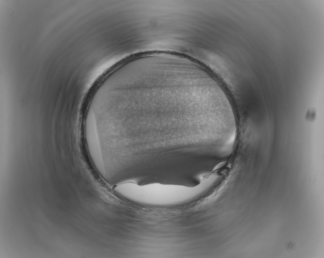 X0000090781077200708172123