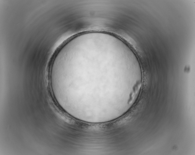 X0000090781078200708172123