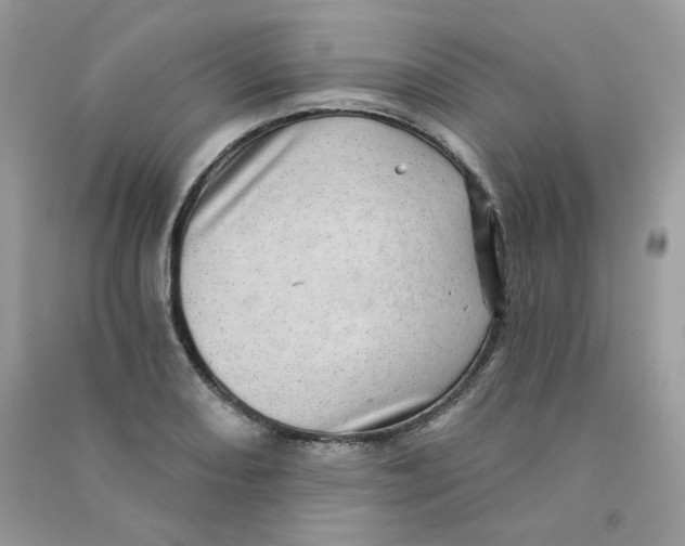 X0000090781082200708172123