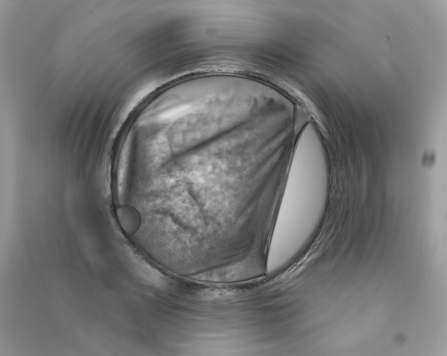 X0000090781083200708172123