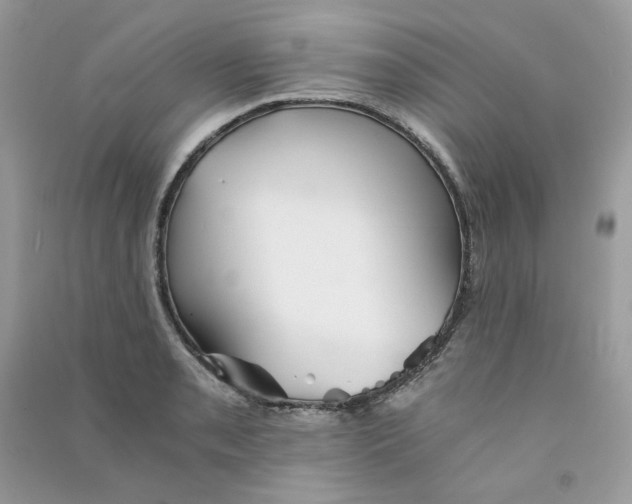 X0000090781085200708172123