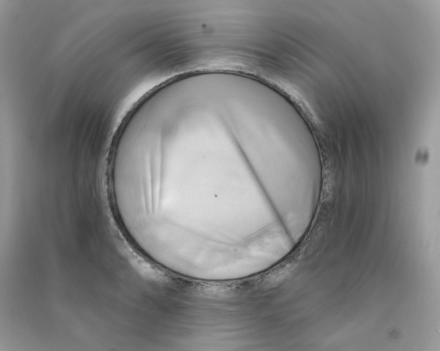 X0000090781086200708172123