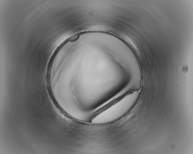 X0000090781087200708172123