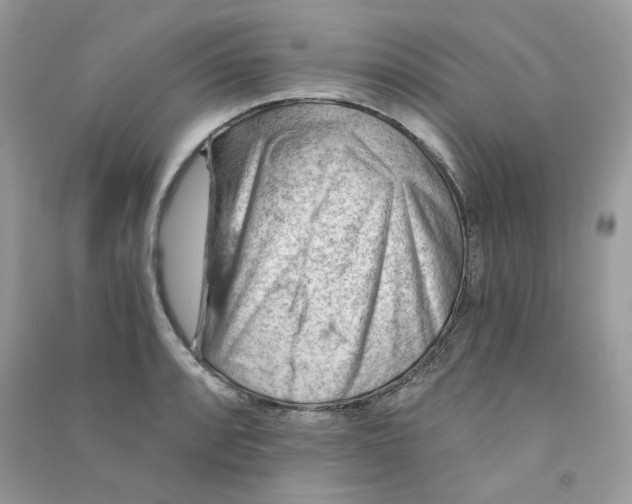 X0000090781088200708172123