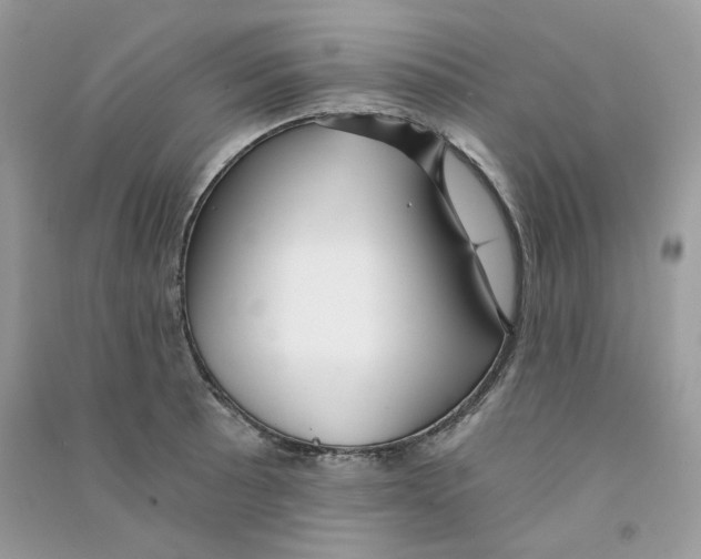 X0000090781089200708172123