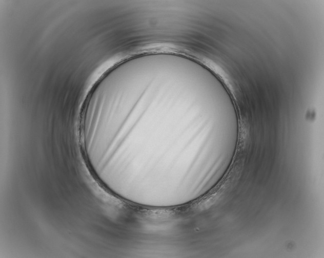 X0000090781090200708172123