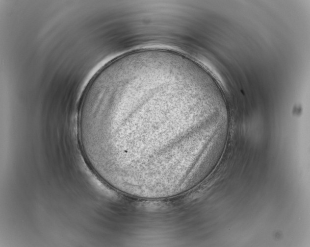 X0000090781092200708172123