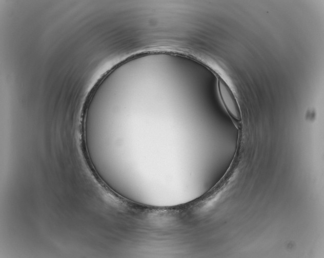 X0000090781093200708172123