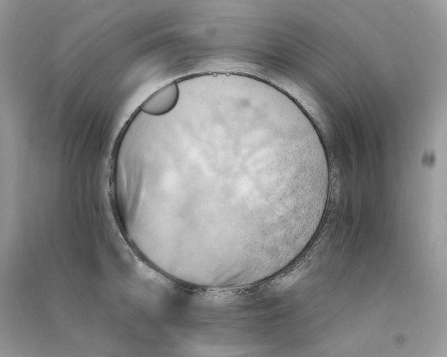 X0000090781094200708172123