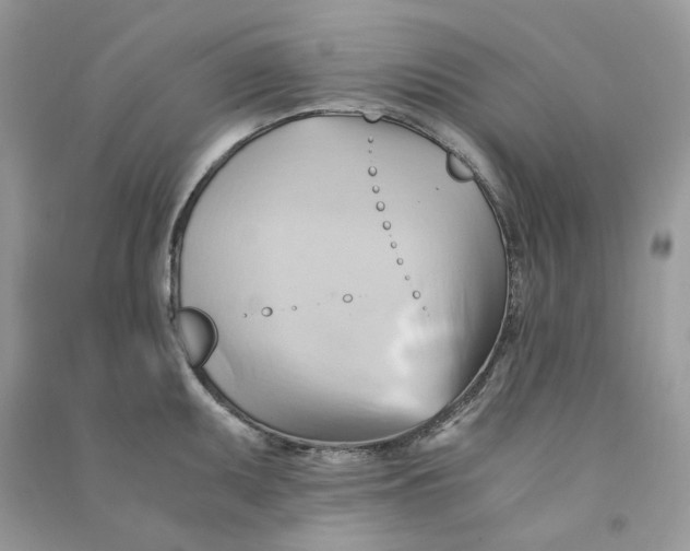 X0000090781095200708172123