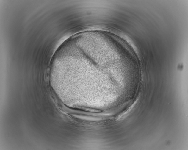 X0000090781097200708172123