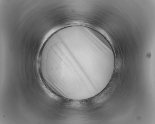 X0000090781098200708172123