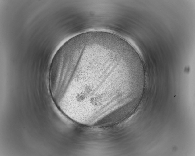 X0000090781100200708172123