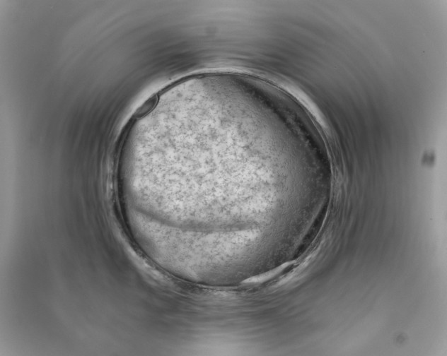 X0000090781101200708172123