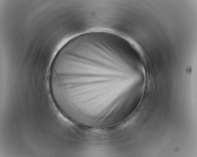 X0000090781102200708172123
