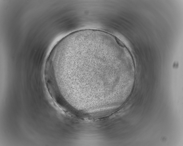 X0000090781104200708172123