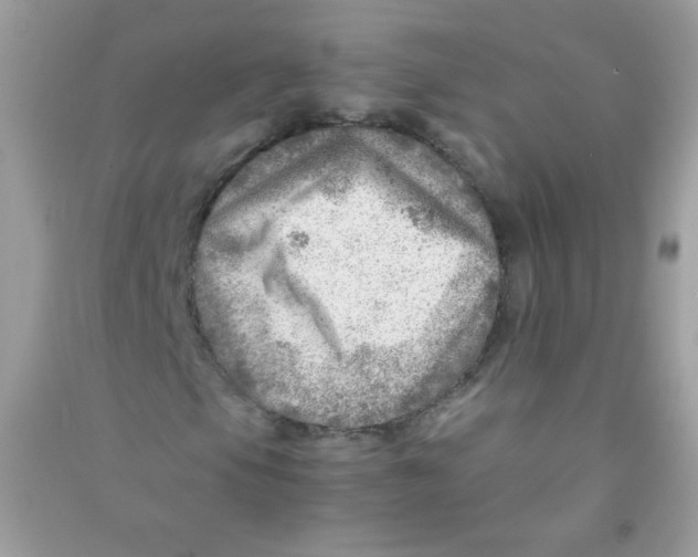 X0000090781105200708172122