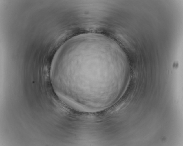 X0000090781106200708172122